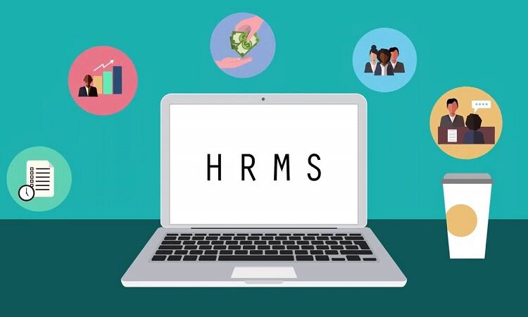 The Usefulness of HRMS for Small Business & How to Choose the Right One